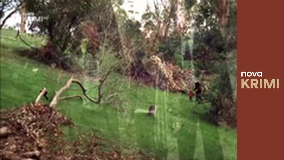 Můj přítel Monk S3E16 - Pan Monk a malý chlapec