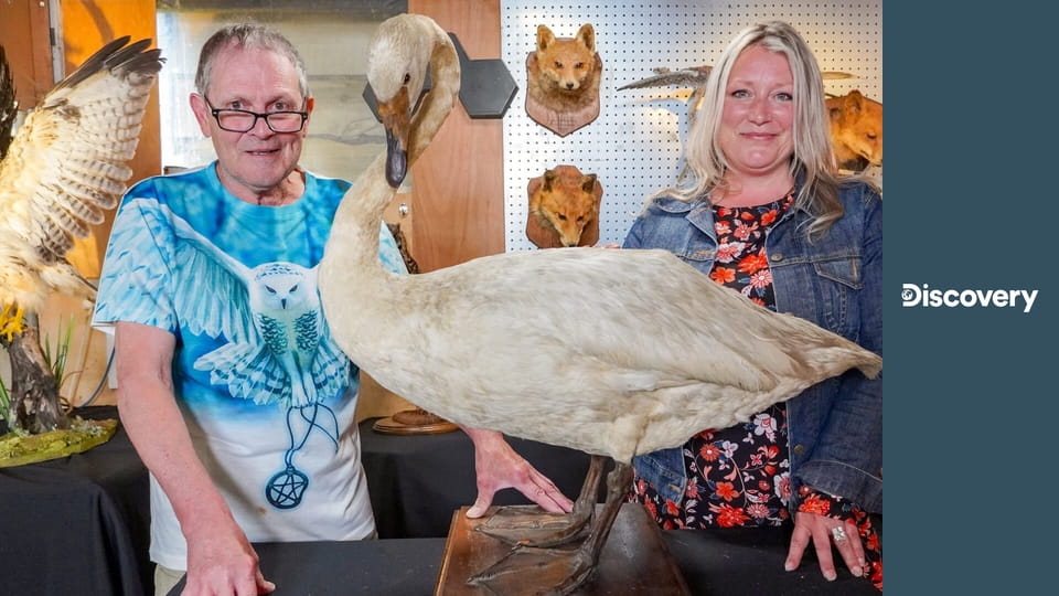 Lovci odpadu: Restaurátoři S6E18 - Něco o klaunech