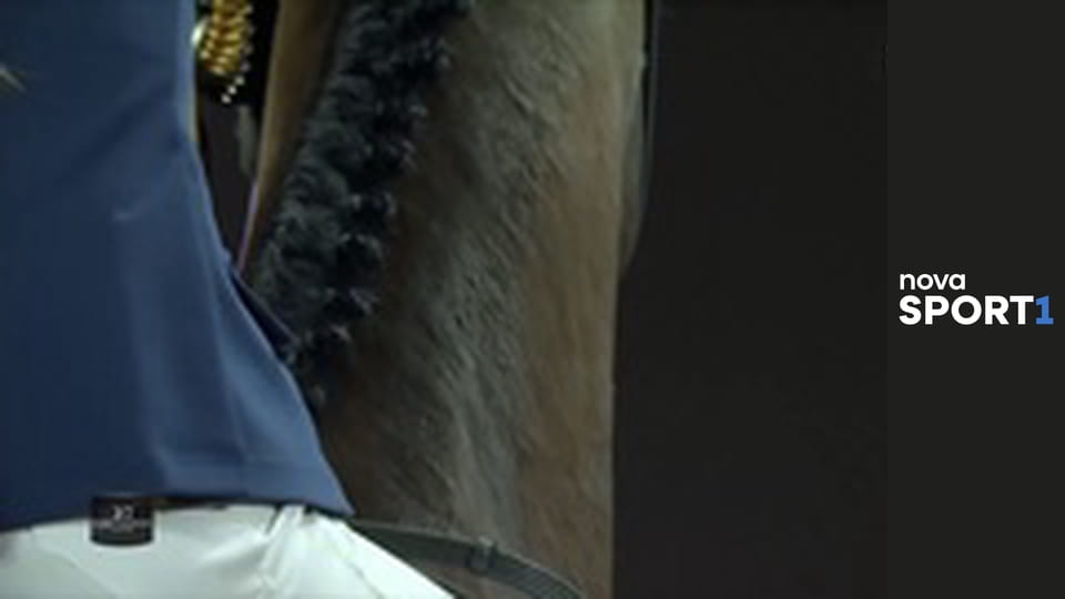 Sportovní originály