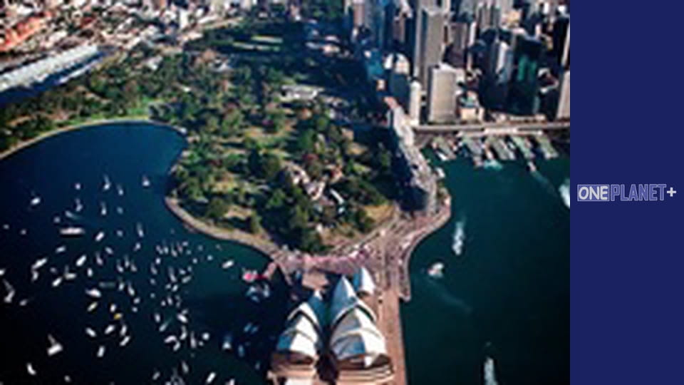 Megacities, Season 1, Episode 2