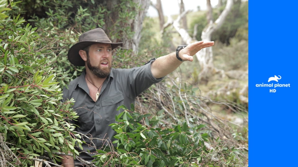 Живой или вымерший S1E6 - Гигант Мадагаскара