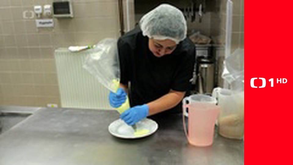 Ten kdo tančí a zpívá