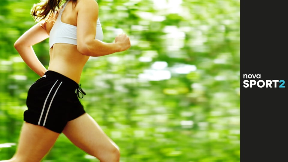 Běhej lesy - Lednice