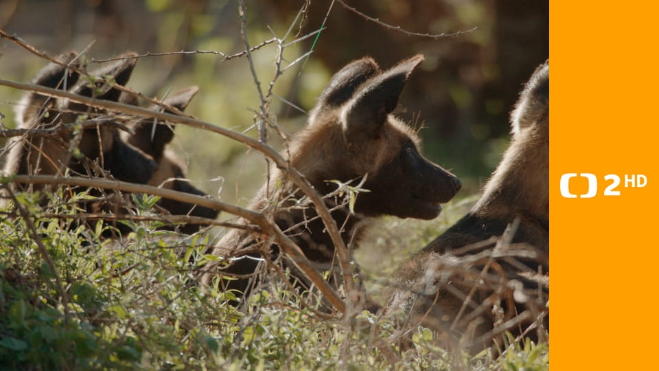 Neznámý kout Afriky - Mount Suswa