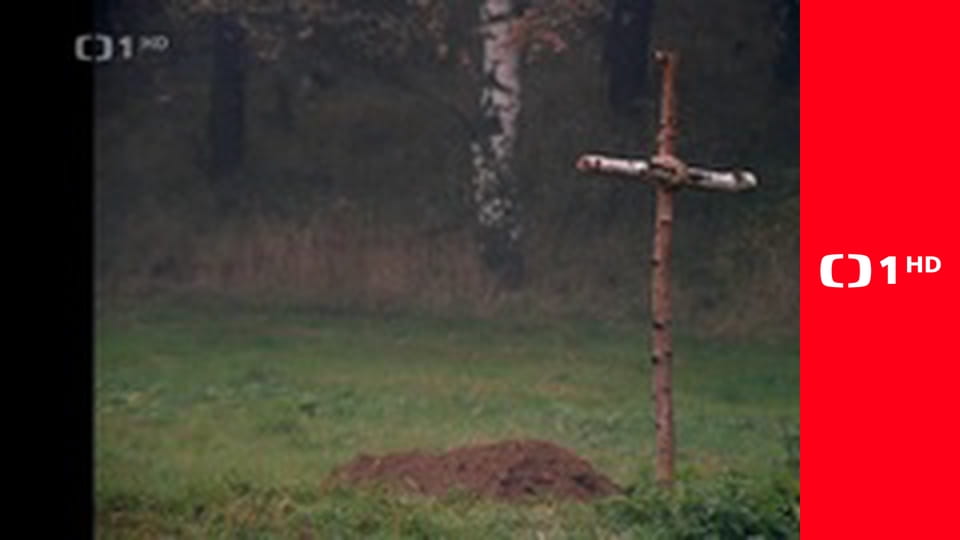 O Janovi a podivuhodném příteli