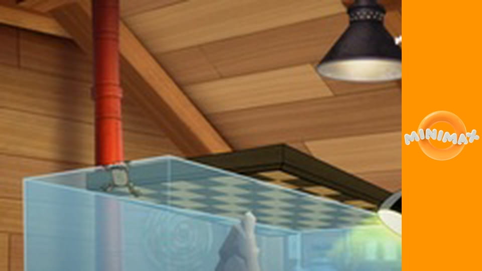 Molly z Denali S1E30 - Žába z Denali/Molly Mabrayová a záhadné kameny