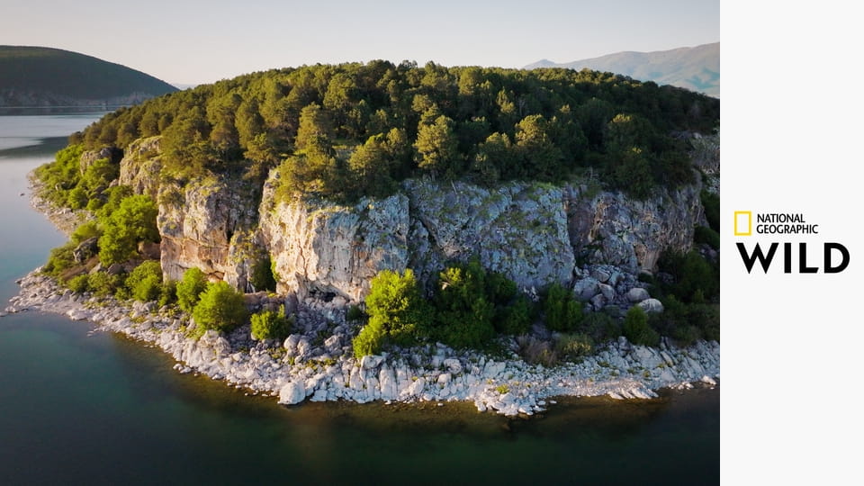 Klenoty evropské divočiny S1E1 - Jeden kontinent, pět světů