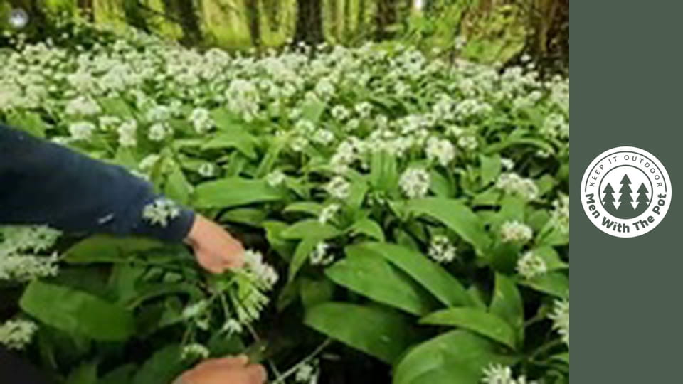 NAJLEPŠIE táborové raňajky: Bagel na profi úrovni