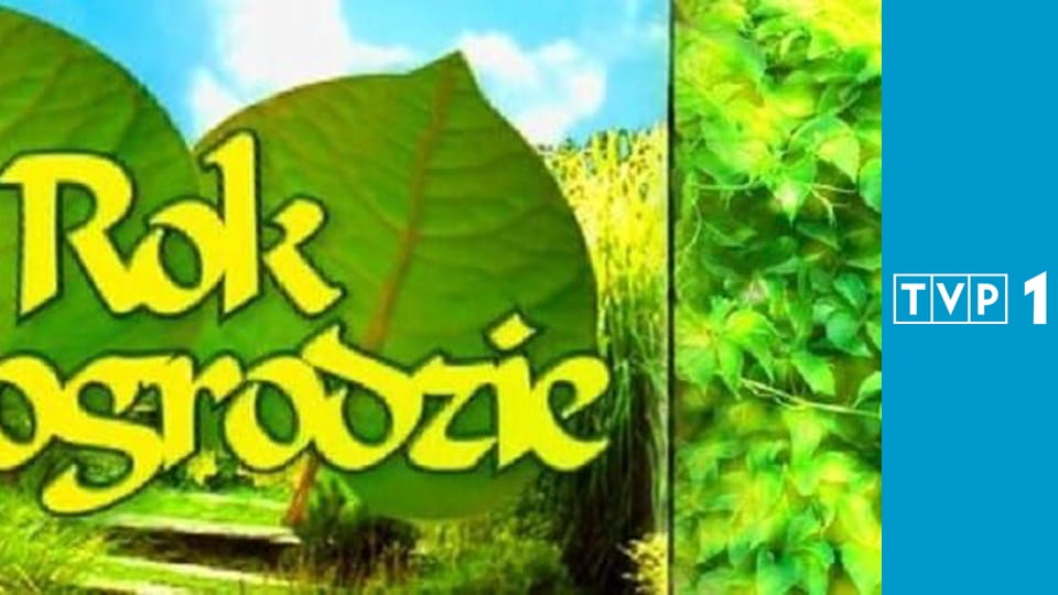 Rok w ogrodzie E1141