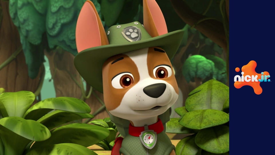 Tlapková patrola S5E23 - Tlapky zachraňují zamrzlý tábor / Tlapky zachraňují kvašené okurky ​