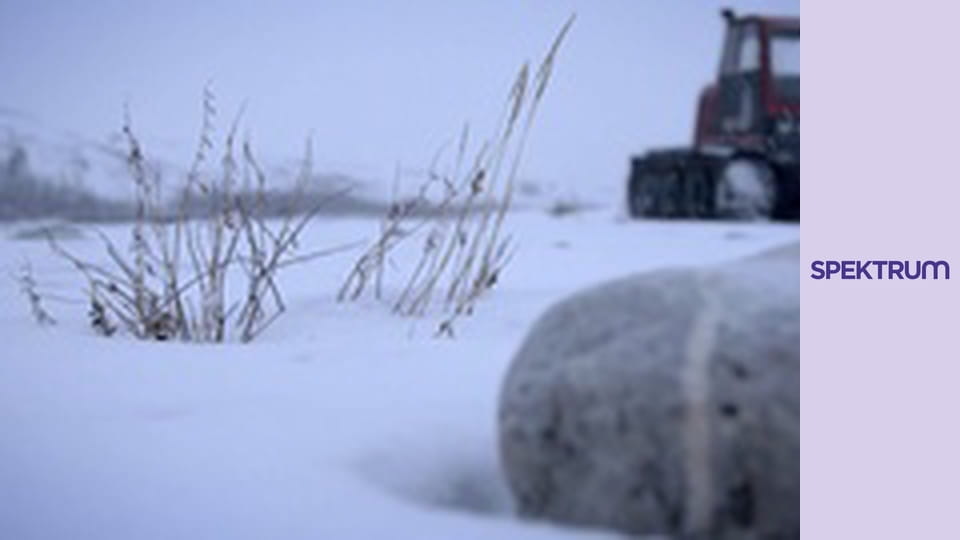 Élet a fagypont alatt S10E5 - Emlékezetes vihar