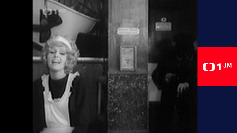 Televizní písničky a songy - Zdeňka Borovce