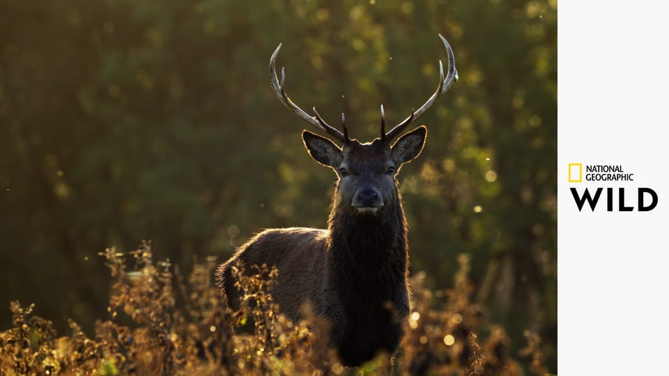 Аутсайдеры S1E5
