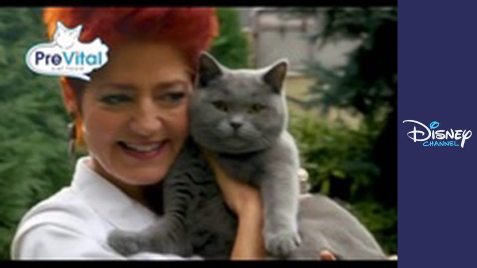 StuGo E12 - Odhalení / Lullina hra