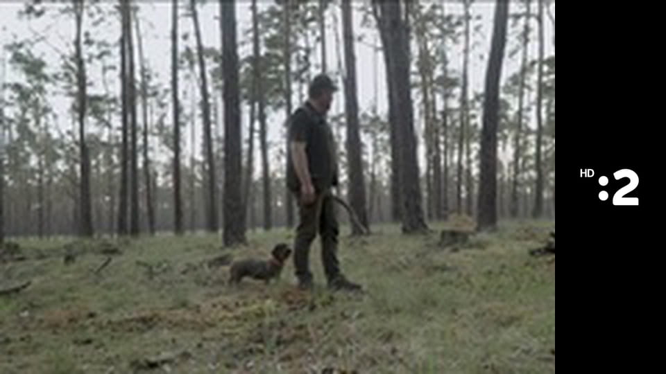 Zázračný miniateliér E95 - Jesenný obrázok