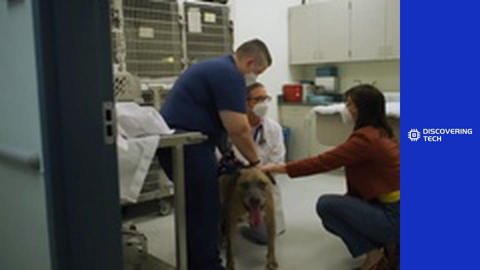 VOA TEK: Pet Innovations