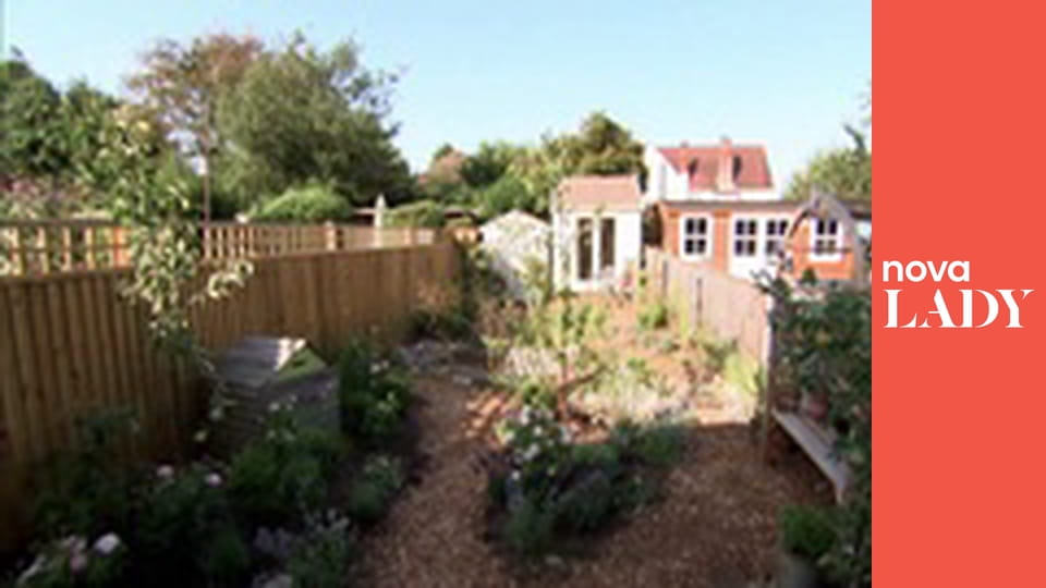 Tescoma s chutí - Houbové zapečené špecle