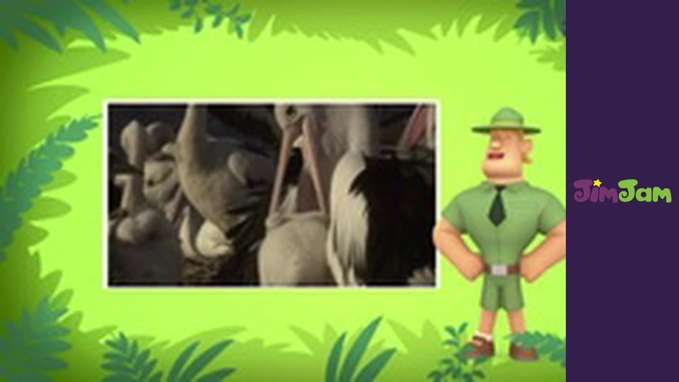 Leo the Wildlife Ranger S1E22 - THE ASIAN ELEPHANT