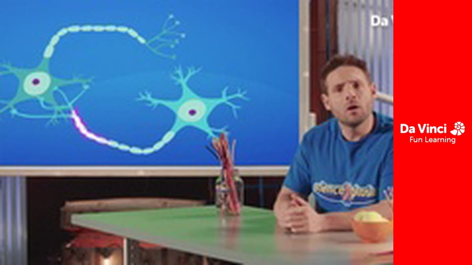 Wybuchowa nauka - Neurony, neurony, neurony!