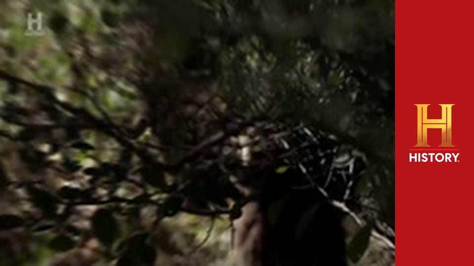 Древние пришельцы, 16 сезон, 2 эп. Невероятные существа: Первая десятка.