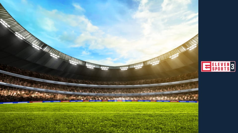 Piłka nożna: Ligue 1 McDonald's