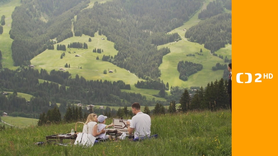 Diplom pro majordoma