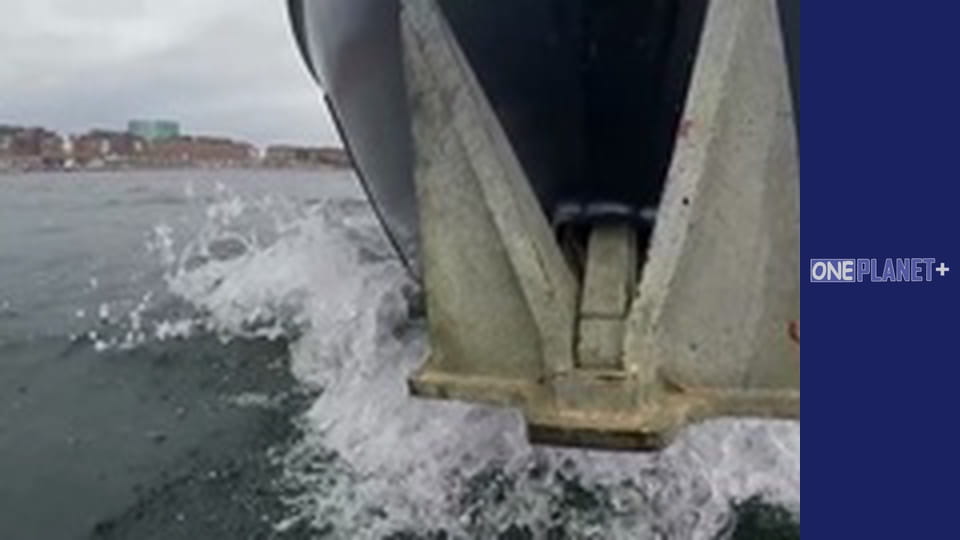 With my own eyes. - episode 2