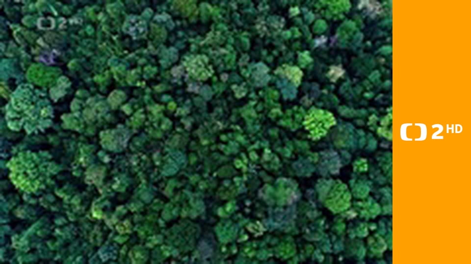 Příroda na kliknutí