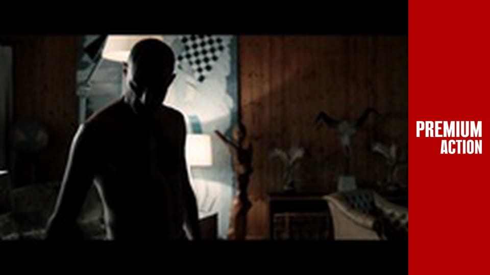 Welcome To The Punch