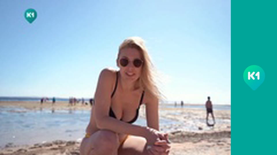 "Пригоди з Яною Метьолкіною".