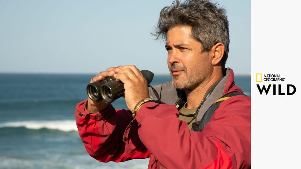 Žralok versus keporkak