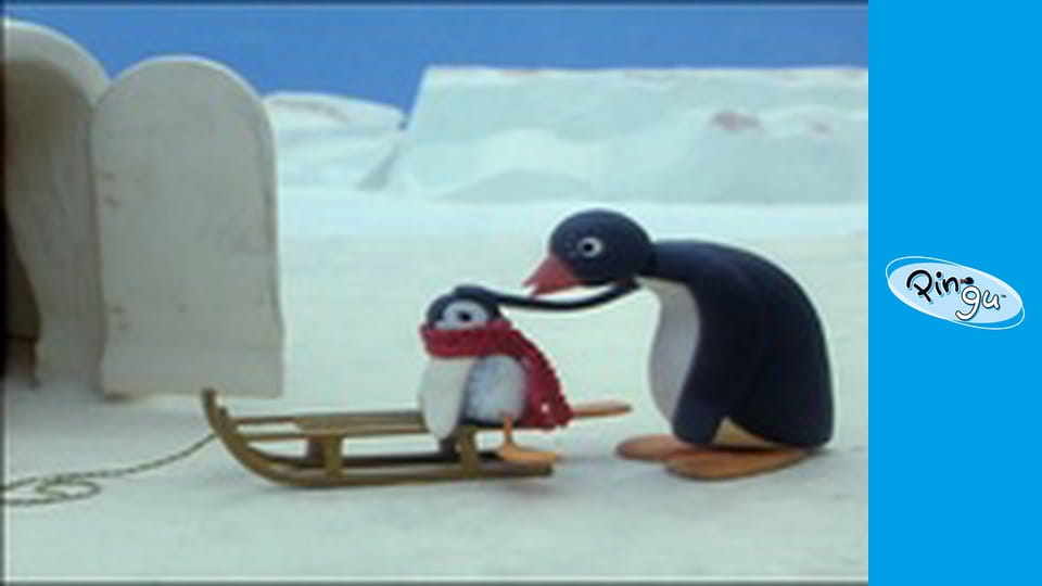 The Pingu Show Sezon 1 Odcinek 56