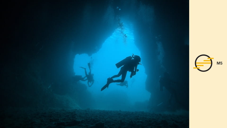 Expedíciók Steve Backshall-lel S2E6