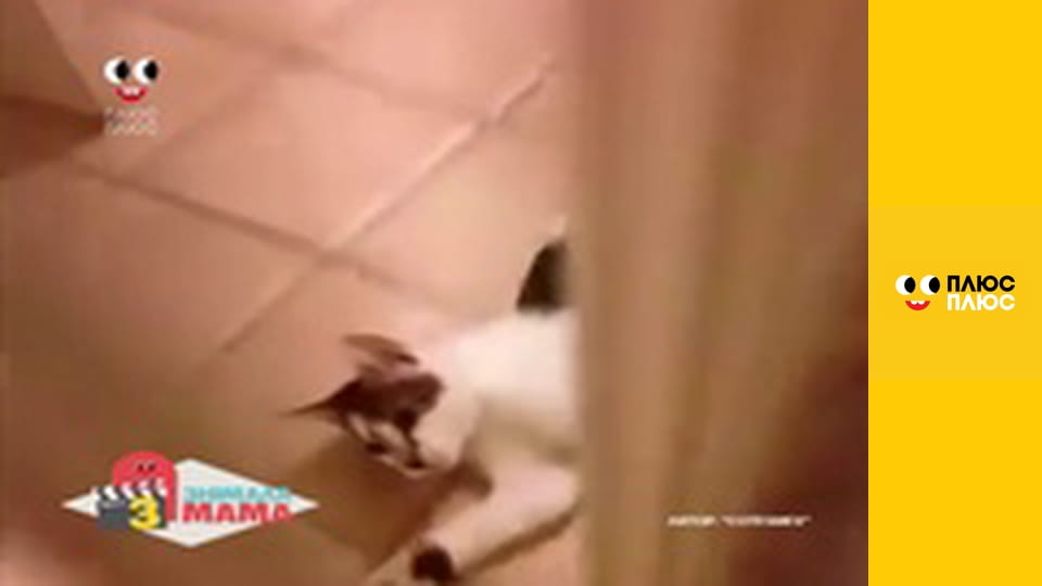 Знімала мама