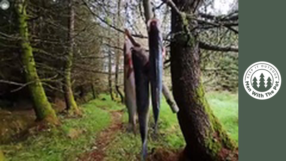 The PERFECT Smoked Fish in the Wilderness