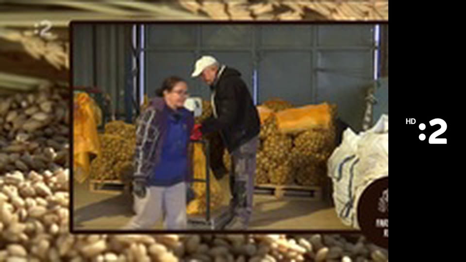 Farmárska revue E40