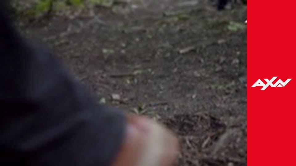 Profilage S5E9 - PROFILAGE 509 - AU NOM DE MON FILS