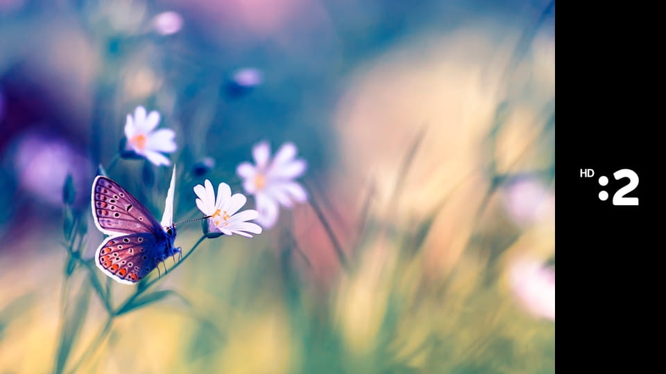 Príroda E5 - Mrazom spútaná, snehom prikrytá...