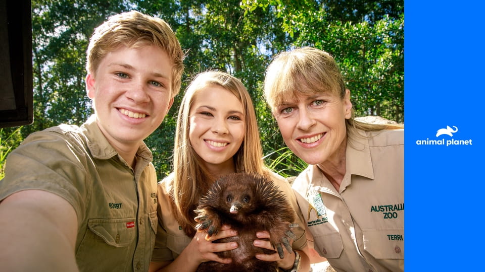 Зоопарк Ирвинов S2E11