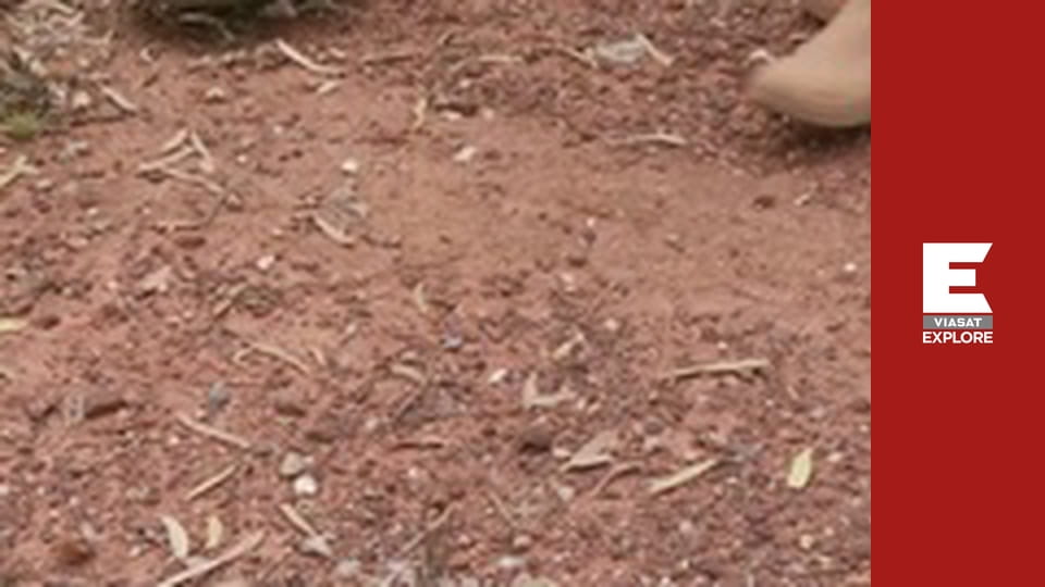 Aussie Gold Hunters - Season 4 Episode 7