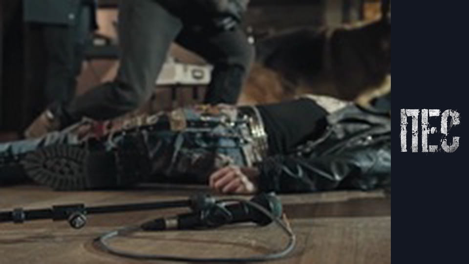 Dog, Season 6, Episode 19