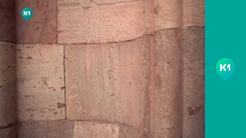 "Пригоди з Яною Метьолкіною".