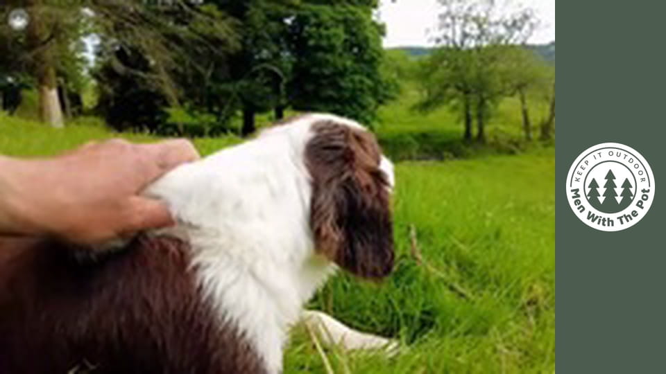 Stek SMAŻONY na kamieniu