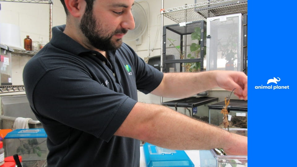 Зоопарк S2E1 - Чудо-малыш