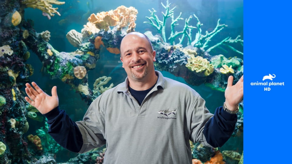 Чистка аквариумов по вызову S1E1