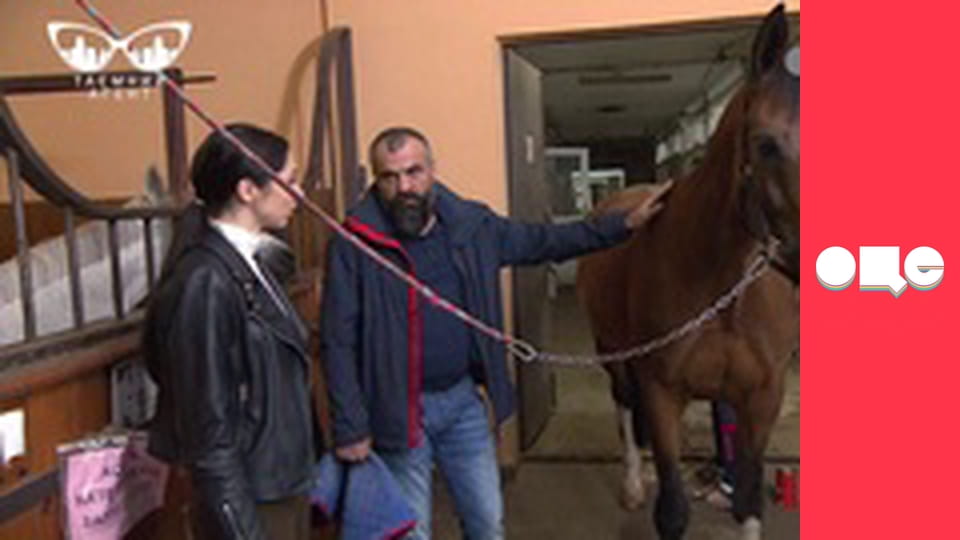 Тайный агент, 4 сезон, 7 эп.