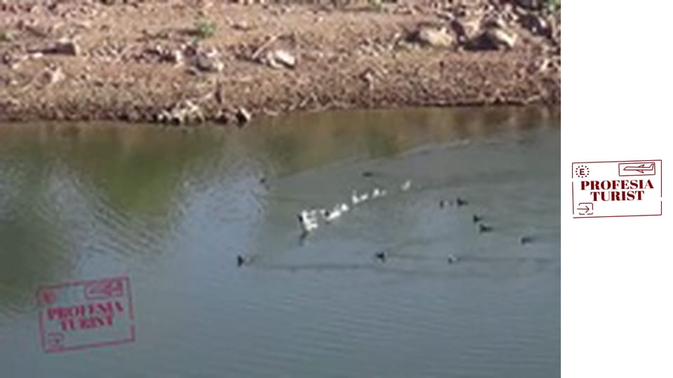 Непопулярно Мароко - Тафрут, Тизнит, Тародант