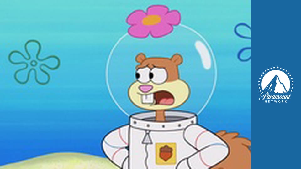 Spongebob v kalhotách S9E18 - Rybí mísa / Ženatý pro peníze