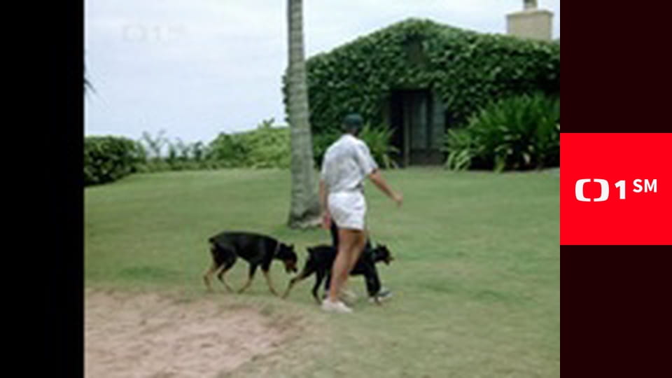 Magnum - Princip psychoanalýzy