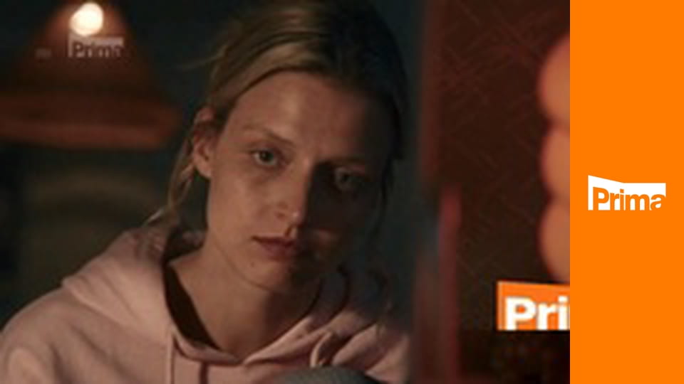 Ano, šéfe! - Motorest Galerie – Karlov